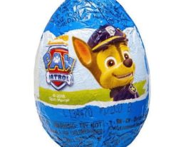 Çikolatalı Sürpriz Yumurta Zaini (20 Gr) 1 Adet